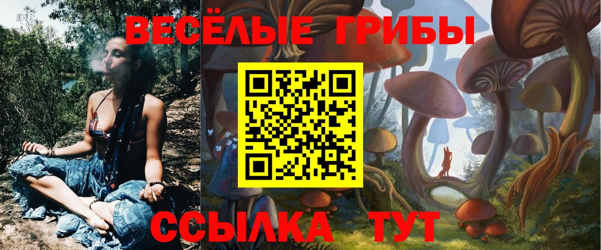 Псилоцибиновые грибы ЛСД Сосновый Бор
