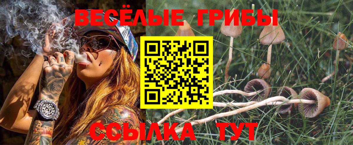 Псилоцибиновые грибы мухоморы  Вход с VPN  Сосновый Бор 